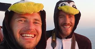 Dubbed 'motoring stupidity