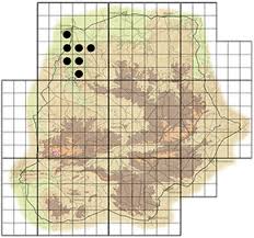 Image result for Xanthocercis zambesiaca