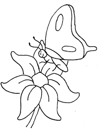 Butterfly coloring pages are created both for toddlers who are just starting to explore the world around them, and for older kids. Online Coloring Pages Coloring Page Butterfly Sits On A Flower Butterfly Download Print Coloring Page