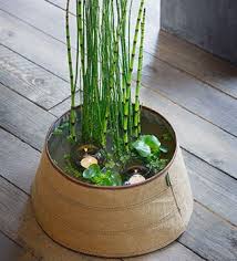 Epingle Sur La Maison De Mes Reves