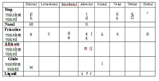 Bilingual Phonemic Inventory Reserch Paper