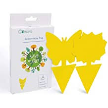 Catchmaster 72max pest trap, 36count, white. Buy Cleaning Tools Pest Control Chemicals Online In Low Prices At Ubuy Mauritius