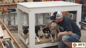 This wicker dog bed is a product from archie & oscar. Office Remodel Bar Height Table With Dog Bed Jays Custom Creations
