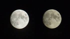 Twitch Rushes To Ban Pogchamp Emote After Meme S Protagonist Is Accused Of Encouraging Further Violence Amid Capitol Unrest Rt Usa News Pogchamp last spam pogchamp last spam pogchamp last spam.