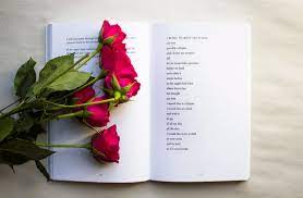 Her is the epitome of empowering poetry. 7 Self Love Poetry Books Women Need To Read In Their 20s Entertainment Entity