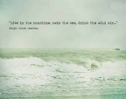Plimsoll Gear Google Ocean Quotes Beach Quotes Sea Quotes