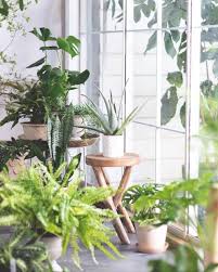 Aug 22, 2020 · after the right tree is picked, each is carefully packaged in a special box designed for shipping plants. 13 Of The Best Places To Buy Live Plants Online