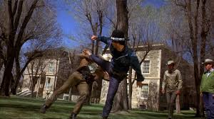 Episode 91 - Billy Jack (Movie Profile) — whistlekick Martial Arts Radio