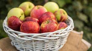 rote oder grune apfel was ist gesunder geo