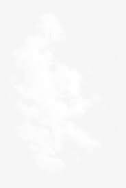 烟雾烟雾白云 新图网云云朵天空干净梦幻云雾 nail art design gallery nail art fingernails painted