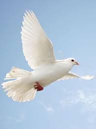 Past Services And Obituaries Pugh Funeral Home Serving Asheboro