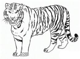 Malvorlagen Tiger Coloring And Malvorlagan