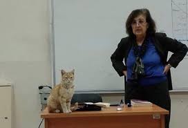 Karabuk Universitesi Nde Kedi Sevgisi