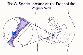 G-Spot: What It Is and How to Find It