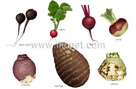 Pin On Eating Veggies Root