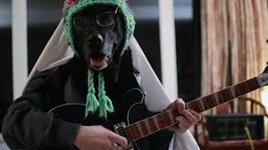 Maybe you would like to learn more about one of these? The 9 Dog Memes Every Respectable Dog Person Should Know Barkpost