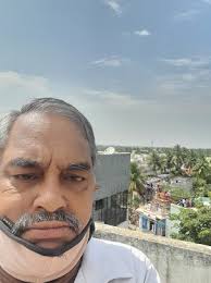 Ruby Flamingo for Sale in Mannivakkam, Chennai