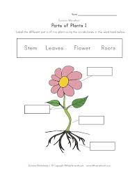 Plant Parts Worksheet Parts Of Plants Worksheet All Kids Network In 2020 Parts Of A Flower Plants Worksheets Parts Of A Plant