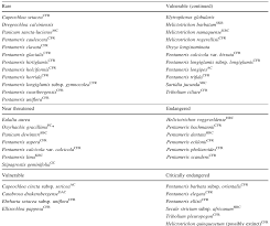 Image result for Elytrophorus globularis