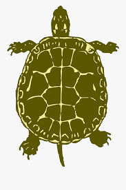 Gambar kartun kelinci dan kura kura keren selamat jumpa sobat yang kami senangi kali ini admin hendak. Sea Turtle Clipart Kura Kura Turtle From Birds Eye View Free Transparent Clipart Clipartkey