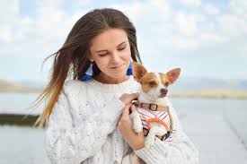 R • horror, comedy • movie (2017). Are You Following The 10 Most Famous Dogs Of Instagram