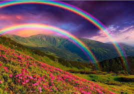 Resultado de imagen para la naturaleza