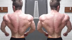 The v shape in bodybuilding refers to the shape of the torso resembling the letter v, with broad shoulders and lats down to a narrow waist. How To Get An Aesthetic V Taper And A Tiny Waist