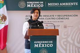 Check spelling or type a new query. Blanca Jimenez Deja Conagua Va Como Probable Embajadora En Francia