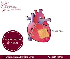 Protein Patch For Heart Heart Muscle Scar Tissue Cardiovascular