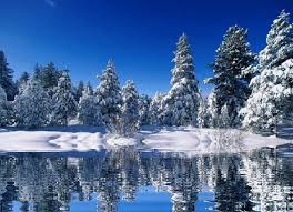 Live desktop wallpapers | free wallpapers. Free Download Snow Nature And Landscapes Animated Gifs Wallpapers Love Nature Live 650x469 For Your Desktop Mobile Tablet Explore 47 Gif Live Wallpaper Set Gif As Wallpaper Android Gif