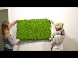 Mooswand Diy Losung Von Stylegreen Mooswand Island Moos Pflanzenwand