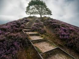 Ernest "Ernie" Eugene Johnson Obituary