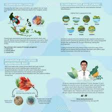 Ikan cupang terdiri dari ikan cupang hias hingga ikan cupang aduan. Kenali Apa Itu Ikan Cupang Hias Si Ikan Hias Dengan Sirip Yang Menarik ðððð¼ððð¼ð¿ ðð¼ðððð¿ðð 3 Aug 2020 Berita Warga Atmago