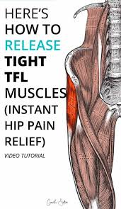 Pin On Sciatic Nerve