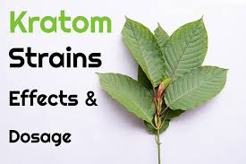 Kratom Strains Chart Kratom Effects Dosage Kratomplants Com
