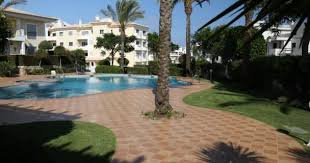 Whether it's neighborhood height restrictions or personal preference, there are plenty of small palm trees to suit a variety of landscaping needs. Swimming Pool Sun Loungers And Palm Trees During A Warm Sunny Day Paradise Destination For Vacations