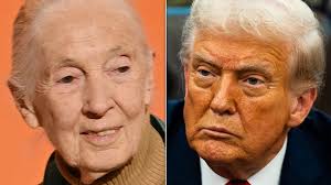 Lower Moncure residents flip, support approval for rezoning