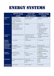 Energy System Table Energy System Physical Education Lessons Exercise Physiology