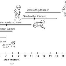 PDF) Motor Development