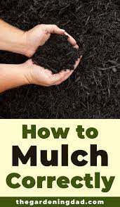 10 Best Mulch For Tropical Gardens The Gardening Dad Best Mulch For Garden Mulch For Vegetable Garden Garden Mulch