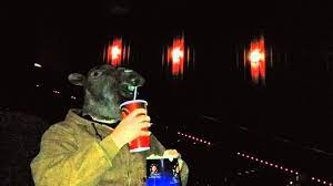 See how much you could save with geico. Funny Hump Day Camel Mask In Movie Theater Geico Camel Movie Day Remix Spoof Youtube