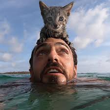 Oh my God ! the cat must have been very tired 😐