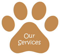 Maybe you would like to learn more about one of these? Veterinary Care Veterinarian Laguna Hills Veterinarian Laguna Hills