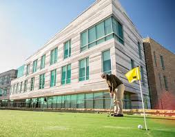 Image result for Erlangea