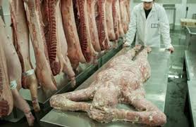 Download lagu hamburger lady (11.41mb) dan streaming kumpulan lagu hamburger lady (11.41mb) search results for: Deep Web Stories Disturbing And Creepy
