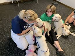 June 1 at 5:07 pm ·. Pandemic Pets Furry Friend Adoptions Surge In The Garden State Amid Covid 19 Jersey S Best