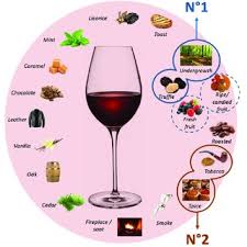 Cornelis Van Leeuwen Head Of Department Phd Bordeaux Sciences Agro Bordeaux Viticulture And Enology