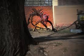 Save fort collins, colorado charming house close to csu, city the destination of fort collins is a good option if you've been considering a getaway with the kids. Swetsville Zoo In Fort Collins Colorado Kid Friendly Attractions Trekaroo