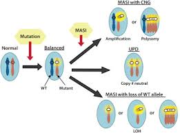 Image result for Oncogene