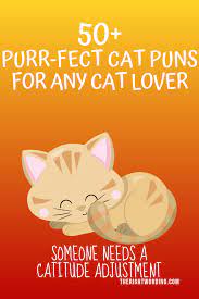 50 Hiss Terically Purr Fect Cat Puns For Any Cat Lover